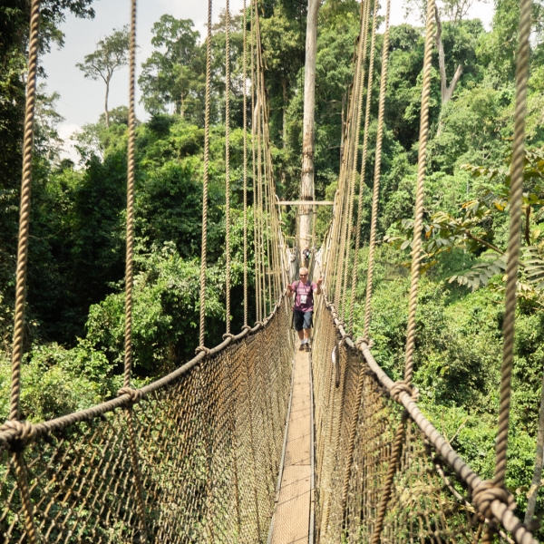 Canopy Walkway - Kakum National Park