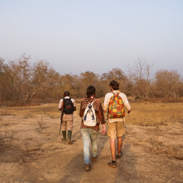 Walking Safari in Mole Park